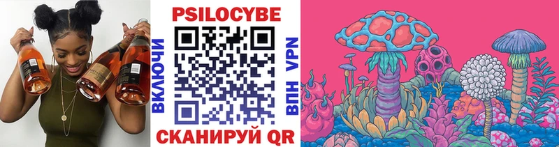 закладки  Карабулак  Псилоцибиновые грибы Magic Shrooms 